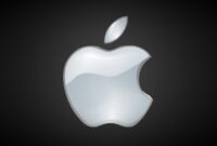 Apple support performance