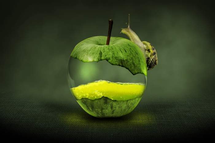 Apple Free Stock Photo - Public Domain Pictures Apple iphone performance