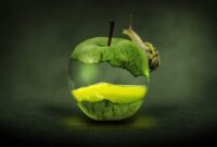 Apple support download
