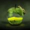 Apple support download
