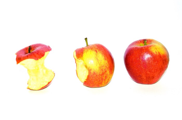 Apple iphone how to