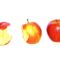 Apple support apps