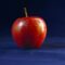 Apple iphone release date
