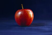 Apple support games