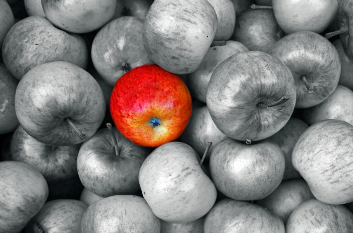 Apple Fruit Free Png Image Transparent HQ PNG Download | FreePNGimg Apple Fruit Free Png Image Transparent HQ PNG Download | FreePNGimg
